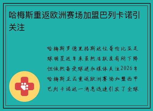 哈梅斯重返欧洲赛场加盟巴列卡诺引关注